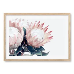 Protea Flowers Framed Art Print by Profile Australia, a Prints for sale on Style Sourcebook