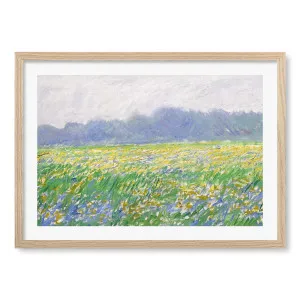Field of Irises Framed Art Print by Claude Monet by Profile Australia, a Prints for sale on Style Sourcebook