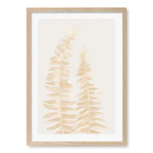 Fern Leaves Beige Framed Art Print by Profile Australia, a Prints for sale on Style Sourcebook