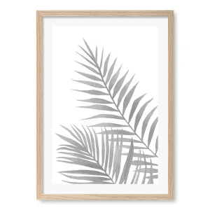 Palm Leaves Framed Art Print by Profile Australia, a Prints for sale on Style Sourcebook
