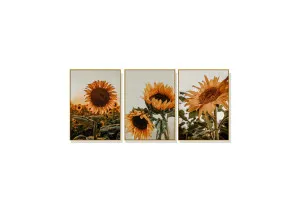 70cm x 100cm by Luxe Mirrors, a Prints for sale on Style Sourcebook