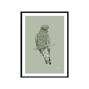White Boxed Frame, A3 (29.7cm x 42cm) by Luxe Mirrors, a Prints for sale on Style Sourcebook