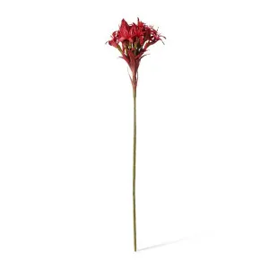 Gymea Lily Stem - 33 x 33 x 143cm by Elme Living, a Plants for sale on Style Sourcebook