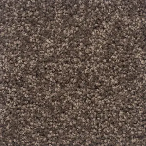 Moods of Monet II - Clemantis by Bremworth Lifestyle Collection, a Twist for sale on Style Sourcebook