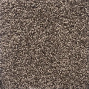 Charmeuse - Misty Taupe by Bremworth Aspire Collection, a Twist for sale on Style Sourcebook