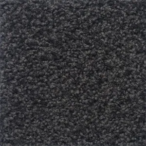 Charmeuse - Blackwatch by Bremworth Aspire Collection, a Twist for sale on Style Sourcebook