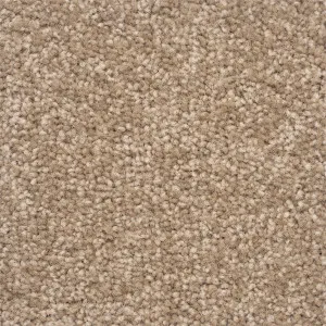 The Hamptons - East End by Bremworth Aspire Collection, a Twist for sale on Style Sourcebook