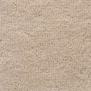 Velluto - Vintage Beige by Bremworth Aspire Collection, a Plush for sale on Style Sourcebook