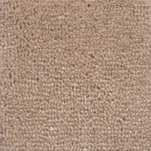 Velluto - Chinchilla by Bremworth Aspire Collection, a Plush for sale on Style Sourcebook