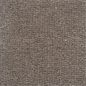 Velluto - Pearl Grey by Bremworth Aspire Collection, a Plush for sale on Style Sourcebook