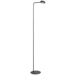 Telbix Tarell Gesture Dimming LED Floor Lamp - Gun Metal by Telbix, a Lamps for sale on Style Sourcebook
