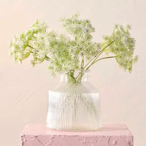 Muse Queen Anne Lace Single Bouquet White by Muse, a Plants for sale on Style Sourcebook