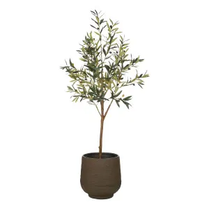 Olive Tree Trillium Planter 66x164cm in Green by OZ Design, a Plants for sale on Style Sourcebook