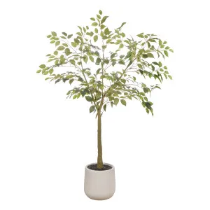 Ficus Tree Pot 61x150cm in Green by OZ Design, a Plants for sale on Style Sourcebook