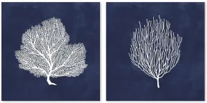 Blue Coral, Set Of 2 by Gioia Wall Art, a Prints for sale on Style Sourcebook