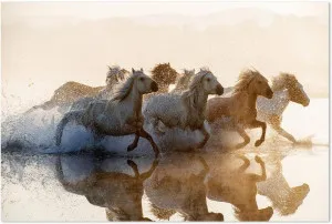 Running Horses by Gioia Wall Art, a Prints for sale on Style Sourcebook