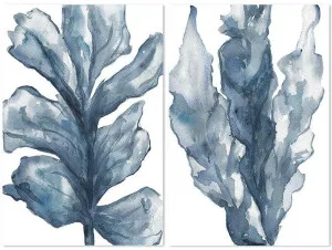 Blue Coral, Set of 2 by Gioia Wall Art, a Prints for sale on Style Sourcebook