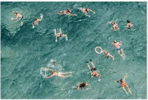 Blue Water Swim, By Carlo Tonti by Gioia Wall Art, a Prints for sale on Style Sourcebook