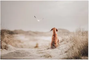 Freedom (Ii), By Heike Willers by Gioia Wall Art, a Prints for sale on Style Sourcebook