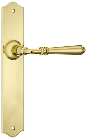 Reims Lever - Long Backplate - Polished Brass by Tradco, a Door Hardware for sale on Style Sourcebook