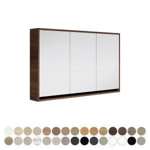 Faith Mirror Cabinet 1200 x 750mm by Fienza, a Shaving Cabinets for sale on Style Sourcebook