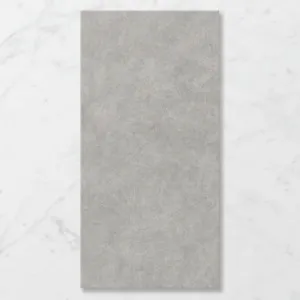 Forma Gravitas Nickel (Satin) 1200x600 by Sanctuary Makers, a Concrete Look Tiles for sale on Style Sourcebook