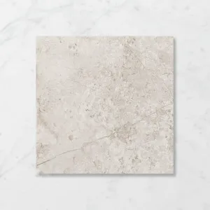 Forma Leonardo Angora (Matt) 450x450 by Sanctuary Makers, a Concrete Look Tiles for sale on Style Sourcebook