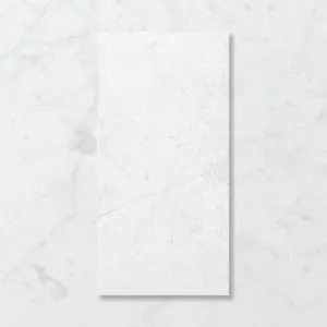 Forma Leonardo Arctic Chill (Matt) 300x600 by Sanctuary Makers, a Concrete Look Tiles for sale on Style Sourcebook