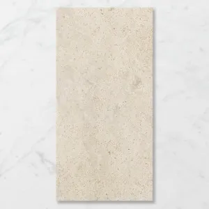 Terra Drift Crumb Crush (Satin) 1200x600 by Sanctuary Makers, a Terrazzo Look Tiles for sale on Style Sourcebook
