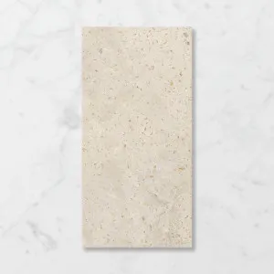 Terra Drift Crumb Crush (Satin) 300x600 by Sanctuary Makers, a Terrazzo Look Tiles for sale on Style Sourcebook
