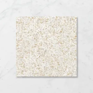 Terra Foray Biscotti Beige (Satin) 450x450 by Sanctuary Makers, a Terrazzo Look Tiles for sale on Style Sourcebook