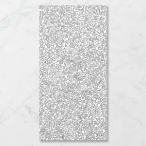 Terra Foray Silver Lining (Matt) 1200x600 by Sanctuary Makers, a Terrazzo Look Tiles for sale on Style Sourcebook