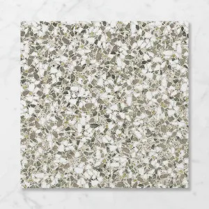 Terra Foray Olive Dream (Satin) 600x600 by Sanctuary Makers, a Terrazzo Look Tiles for sale on Style Sourcebook