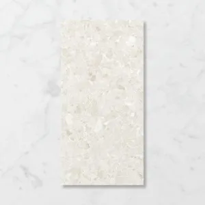 Terra Palacio Light Rye (Satin) 300x600 by Sanctuary Makers, a Terrazzo Look Tiles for sale on Style Sourcebook