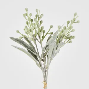Wattle Bundle Green by JMC FLORALS, a Plants for sale on Style Sourcebook