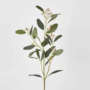 Eucalyptus Spray with Seed by JMC FLORALS, a Plants for sale on Style Sourcebook