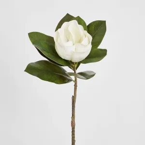 Magnolia Single Head 70cm White by Florabelle Living, a Plants for sale on Style Sourcebook
