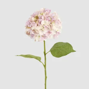 Claire Hydrangea Stem Pink by Florabelle Living, a Plants for sale on Style Sourcebook