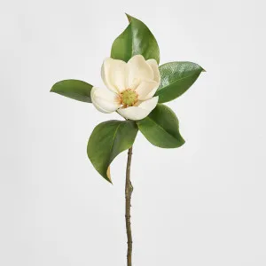 Magnolia Short Stem 60cm White by Florabelle Living, a Plants for sale on Style Sourcebook