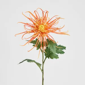 Spider Mum Floral Stem 71cm Orange by Florabelle Living, a Plants for sale on Style Sourcebook