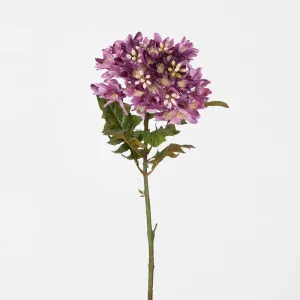 Agapanthus Stem Purple by JMC FLORALS, a Plants for sale on Style Sourcebook