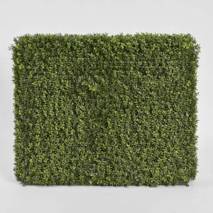 Boxwood Hedge 75x100cm by TREE CREATIONS, a Plants for sale on Style Sourcebook