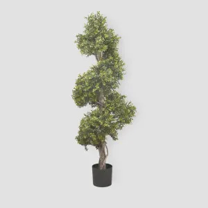 Boxwood Spiral Tree 1.4m by TREE CREATIONS, a Plants for sale on Style Sourcebook