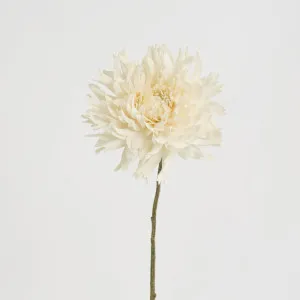 Dahlia Spray 56cm Cream by Florabelle Living, a Plants for sale on Style Sourcebook