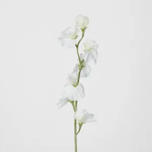 Sweetpea White by JMC FLORALS, a Plants for sale on Style Sourcebook
