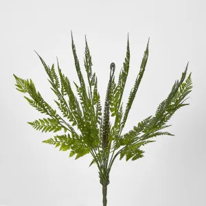 Fern Bush Green by JMC FLORALS, a Plants for sale on Style Sourcebook