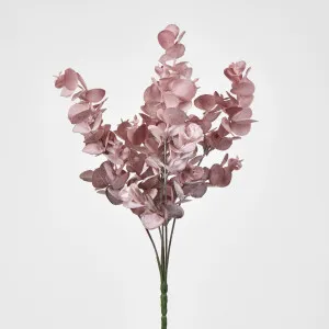 Eucalyptus Bush Pink by JMC FLORALS, a Plants for sale on Style Sourcebook