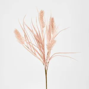 Banksia Bush Pink by JMC FLORALS, a Plants for sale on Style Sourcebook
