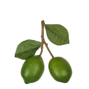 Lime Branch Green by Florabelle Living, a Statues & Ornaments for sale on Style Sourcebook