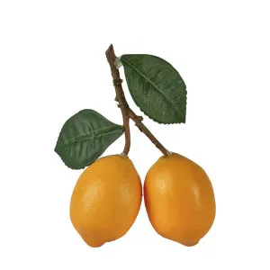 Lemon Branch by Florabelle Living, a Statues & Ornaments for sale on Style Sourcebook